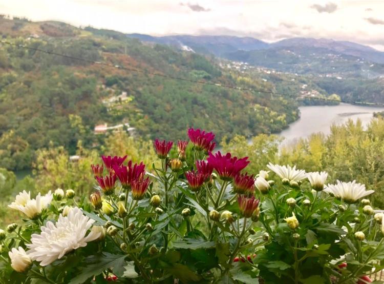 Pedacinho De Mundo Douro Guest House Passinhos de Cima Екстериор снимка