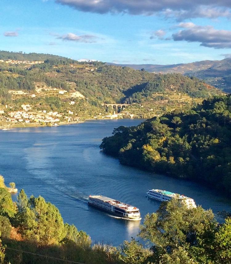 Pedacinho De Mundo Douro Guest House Passinhos de Cima Екстериор снимка